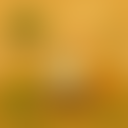 Cómo enterrar correctamente a tu mascota (y una opción cuando no tienes espacio para hacerlo)