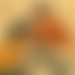 ¿Debo estar presente en la eutanasia de mi mascota? Qué dicen veterinarios y psicólogos