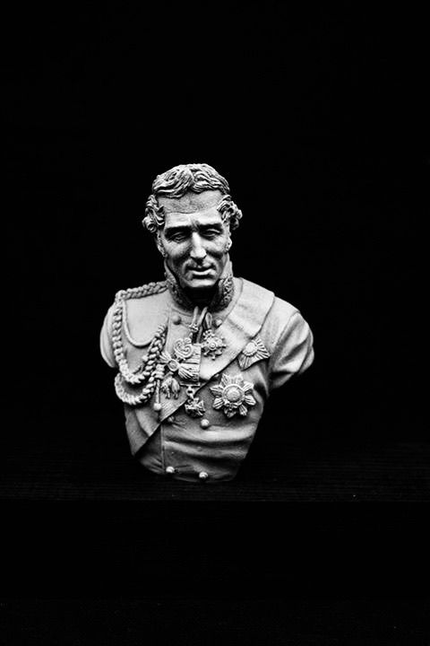V-bust Wellington, Waterloo