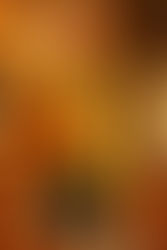 Eugene's Tailor Shop