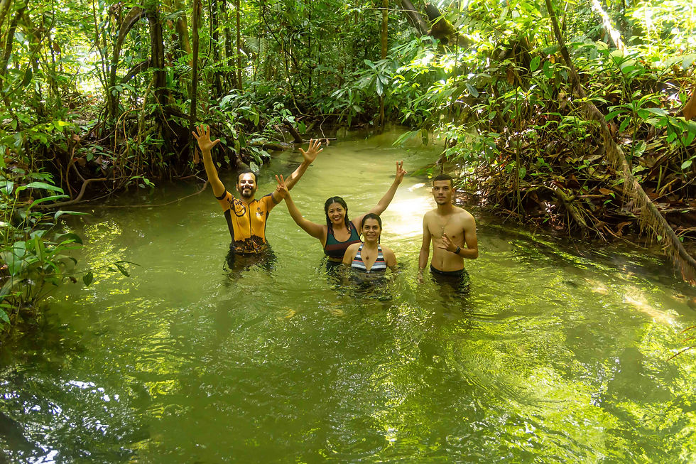 Igarapé - Floresta Nacional