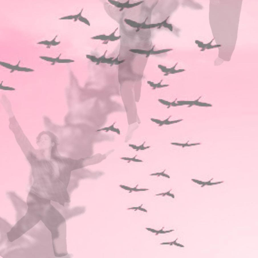 Migratory Movements - Interweaving through Dance