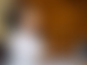 Giulianna Bugarini presidirá el Congreso de Michoacán