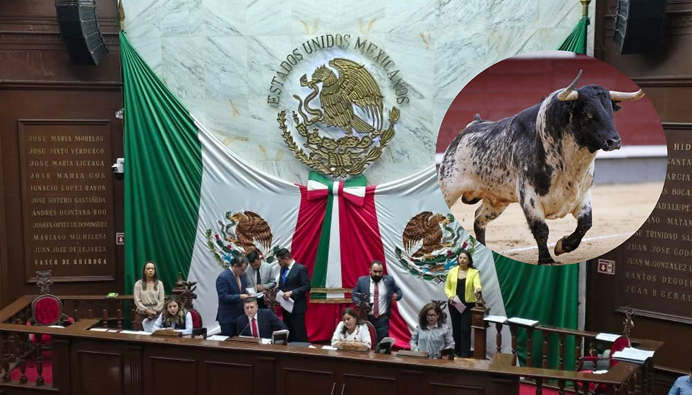 Michoacán prohíbe las corridas de toros tras intenso debate en el Congreso