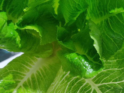 La verdura #bio è buona ma brutta... Ma chi l'ha detto??