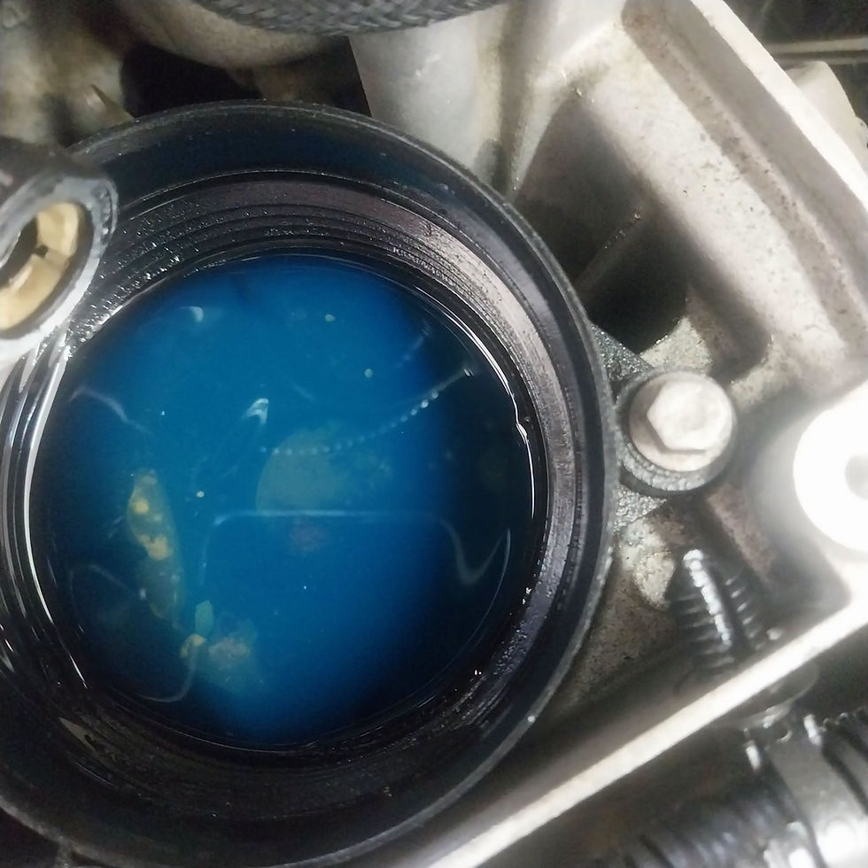 Contenitore del filtro gasolio aperto con liquido e residui visibili sul fondo nel vano motore
