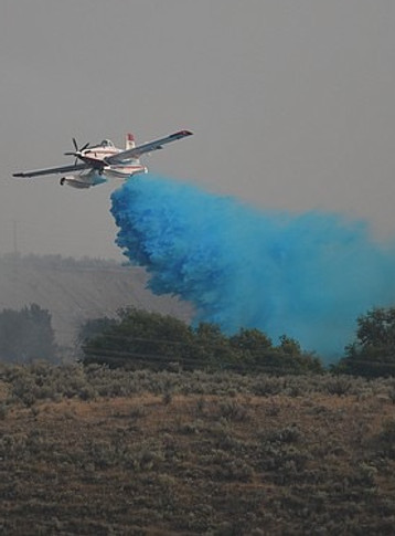 The Story and Vision of Francesco Macconi