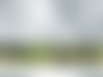 ¡ARBOLES, NO TUMBAS!