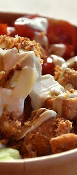 closeup_POLLO.jpg