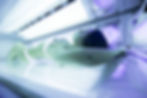 Solarium Ergoline