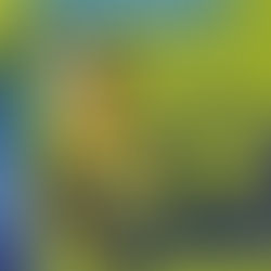 INTERNI (Italy), n.425/1992 – p.136/139