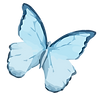 Watercolor Butterfly 9