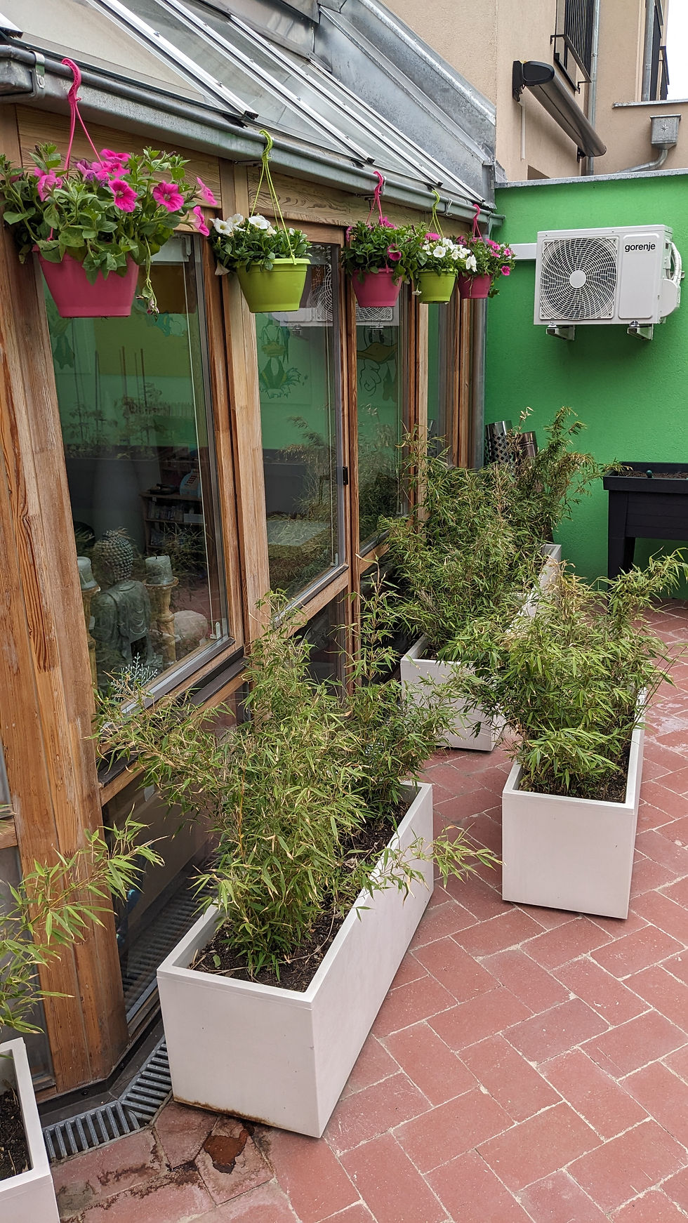 PXL_20250417_133953819