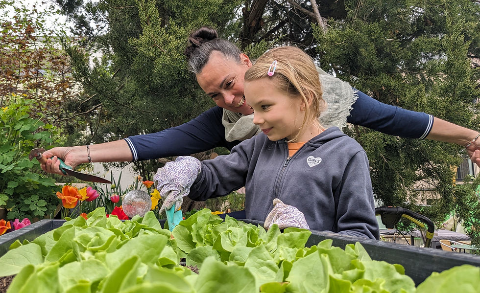 PXL_20250417_131601396_edited