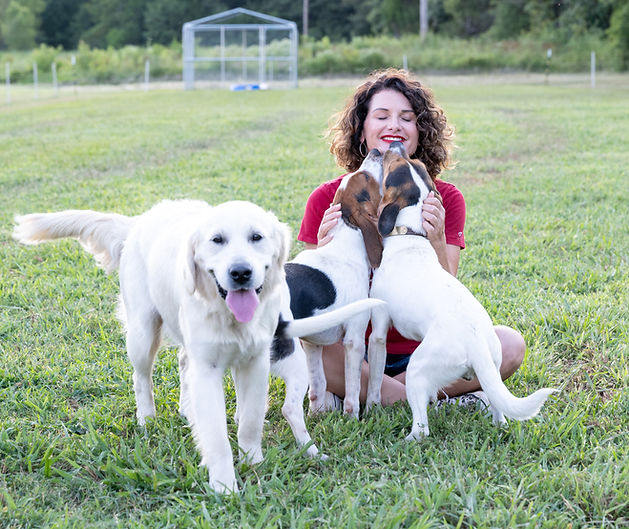 Dogs By Deanna Professional Dog Training
