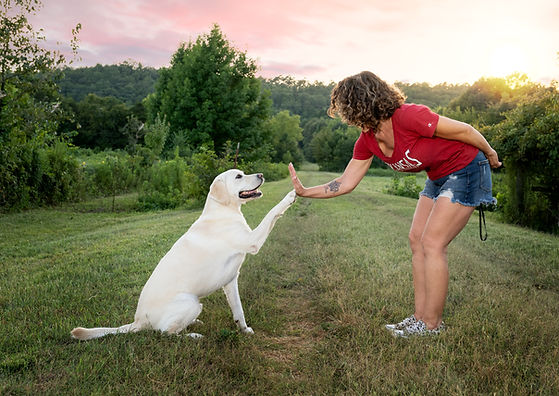 Dogs By Deanna Professional Dog Breeding