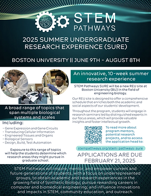 SURE-STEM Pathways REU Flyer - 2025.png
