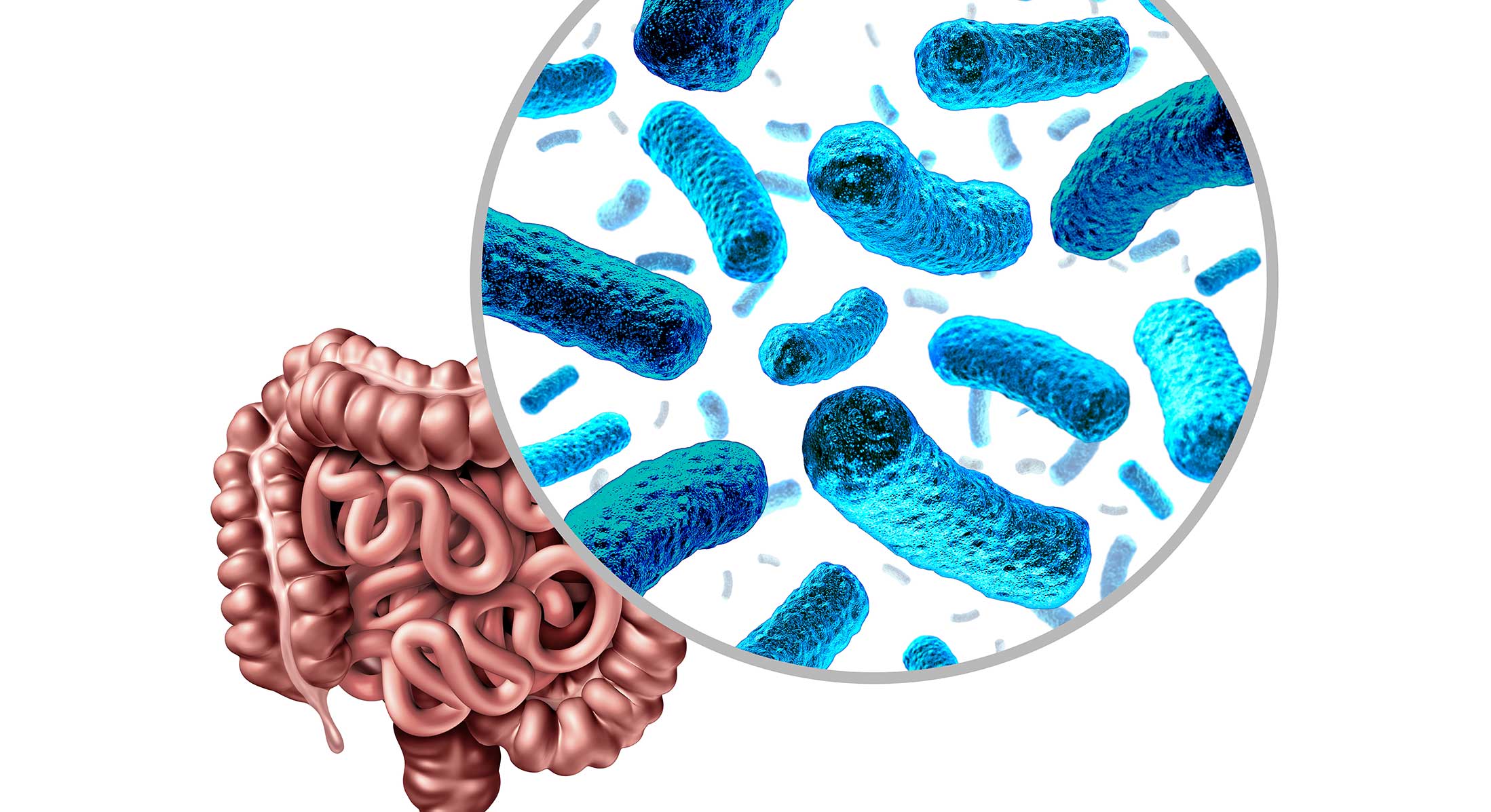 Gut Microbes