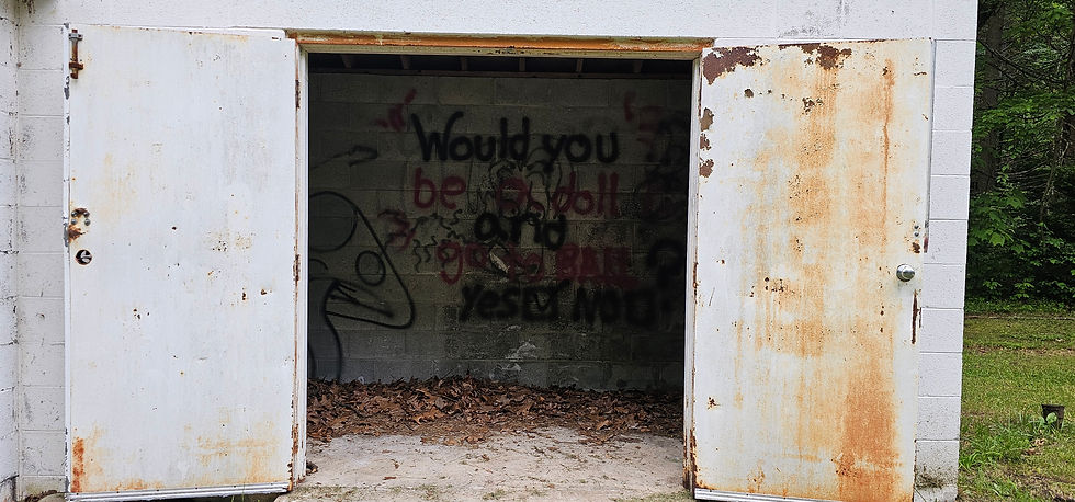 Open concrete shelter with rusty metal doors, graffiti inside reading "Would you be a doll and go to ball?" Leaves cover the floor, surrounded by trees.
