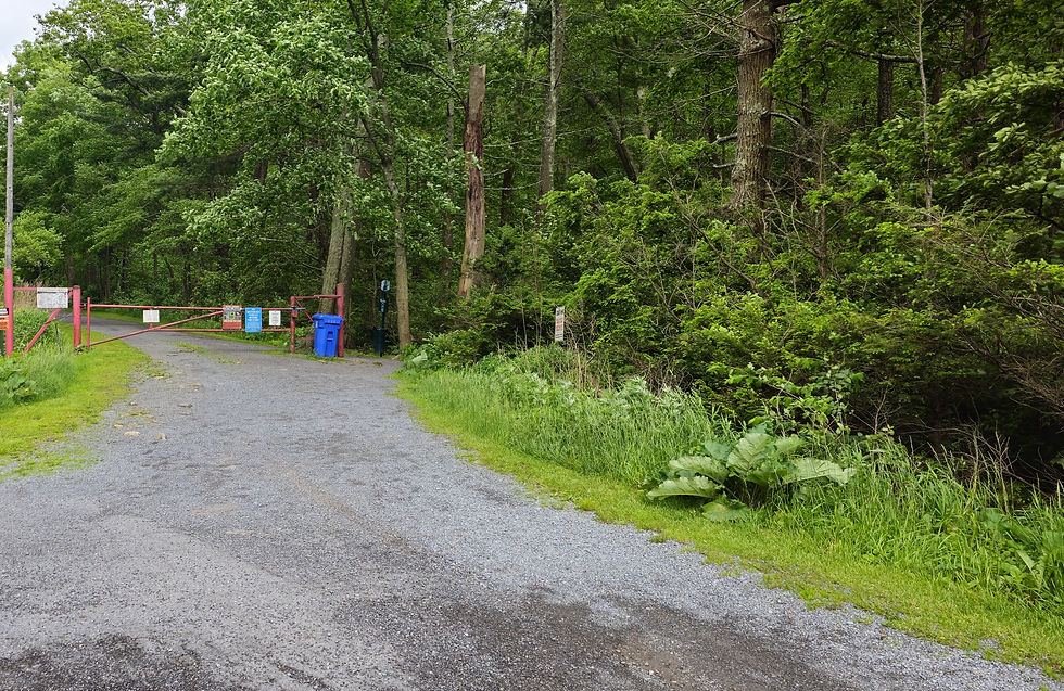 An image of a gravel road leading to a red gate with signs on it and a small opening to the right hand side of the gate. The green forest surrounds the road and gate.