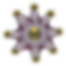 burgundy-flower-transparent_.png