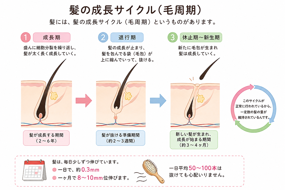 抜け毛・パサつき対策|健康な髪を育てる毎日のヘアケア