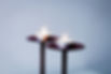 candeleros