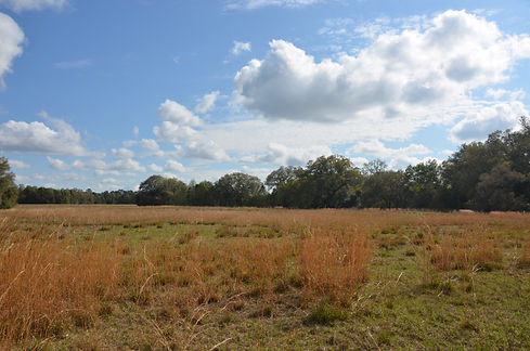 266094C6-5873-46D3-9B0B-861913382B87 (1).jpeg