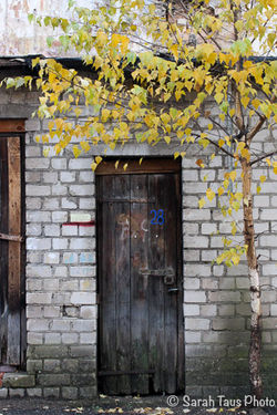 Medieval Jewish Quarter with Fania B