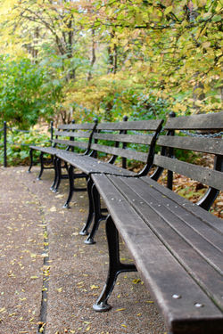 Chicago Bench