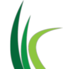 CC Grass.png