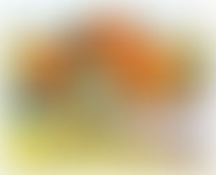 NCAA |Transfer Protocol