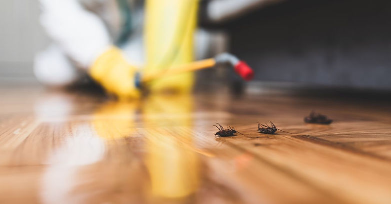 Pest_Control_iStock_1158253619.jpg