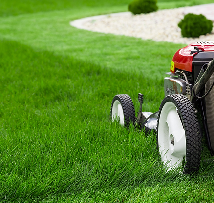 lawncare.png