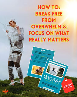 Break free from Overwhelm_edited.jpg