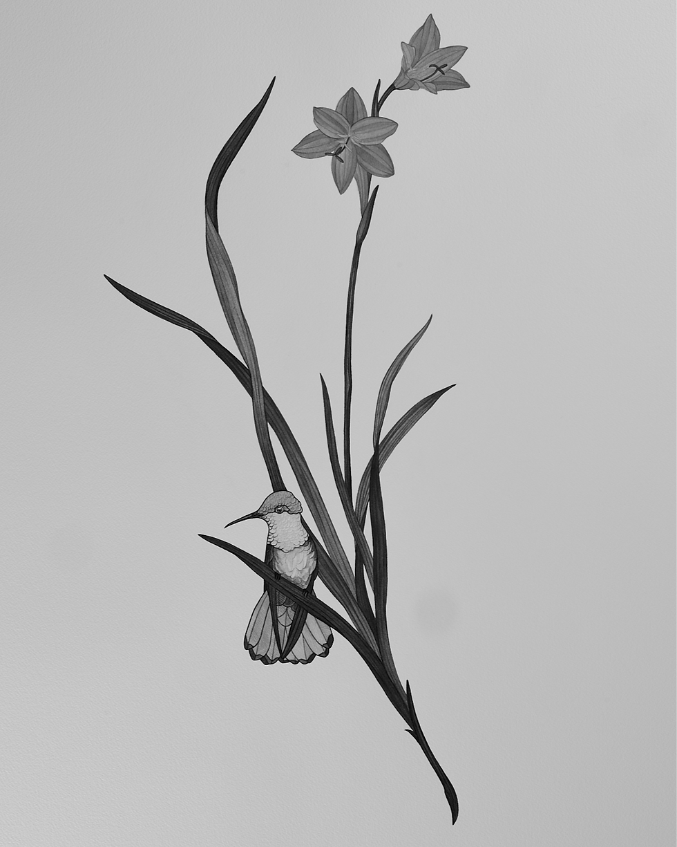 Marino-Sallowicz-Beija-Flor-Chris-Rozza 3_edited.png