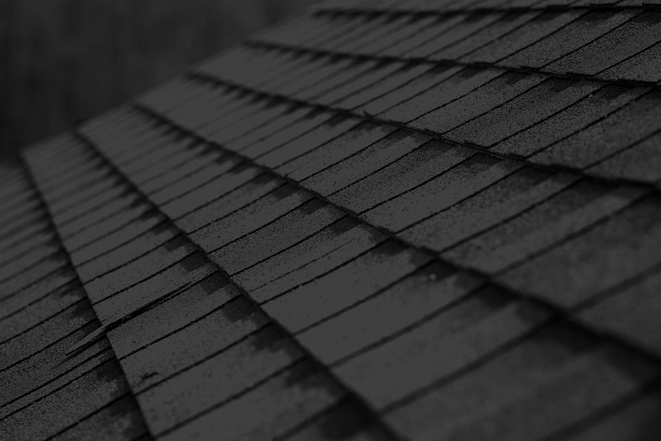 Roof Shingles _edited_edited_edited_edited.jpg