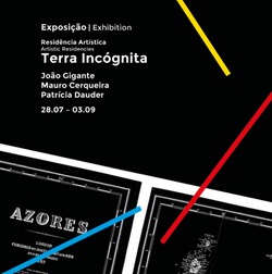 Mauro Cerqueira: Terra Incognita