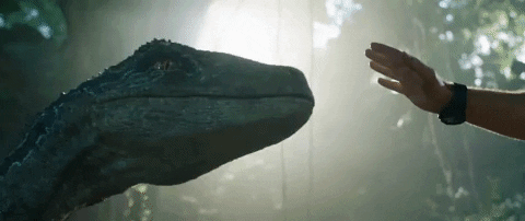 giphy (1).gif