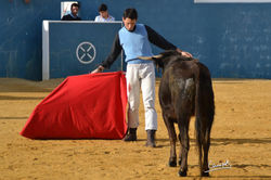 12375448_10205188388819346_542045475_o