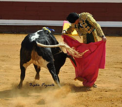 311668_1995784529653_1094660791_31747079_2110903066_n