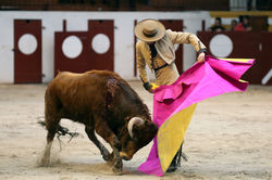 Kike_2017©William_LUCAS_(3)