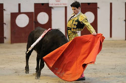 Novillada_El_Freixo_Magescq_20.02.11_2011©William_LUCAS_(70)