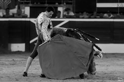 IMG_2249 - Copie - Copie