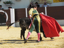 222839_2055539426886_1196595513_32576741_8046324_n