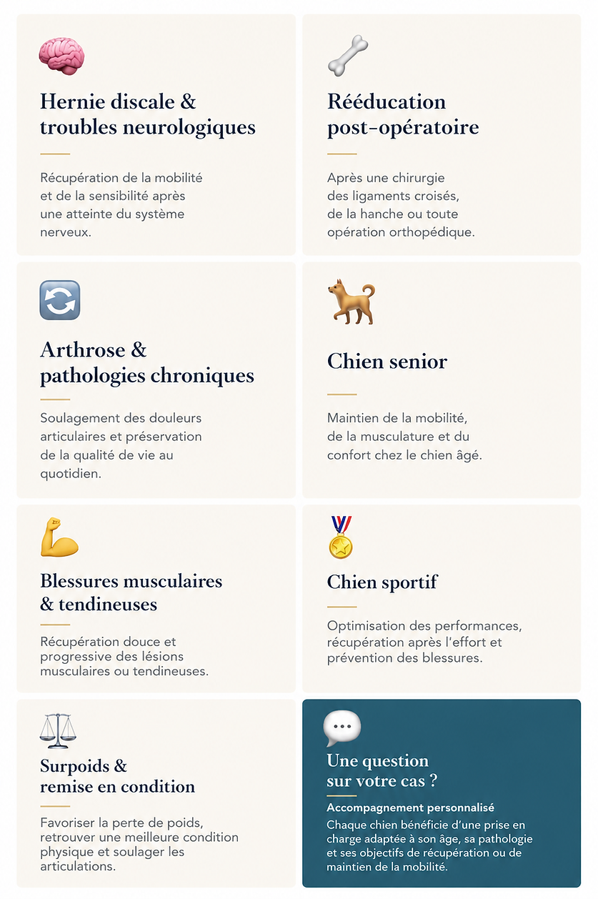 B77B4B19-DE5E-4A6B-9291-410D711D9685.PNG