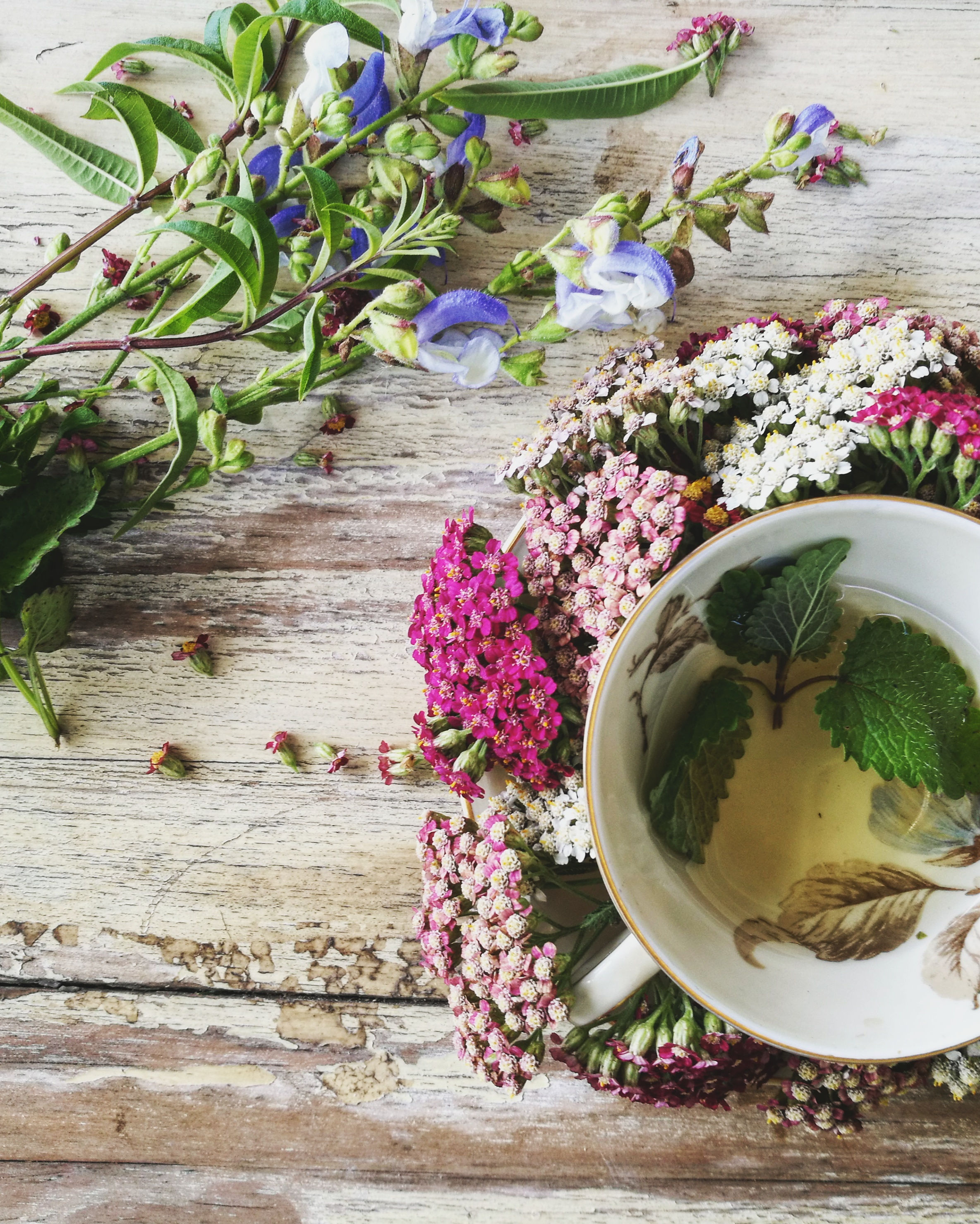 Medicinal Herbal Teas