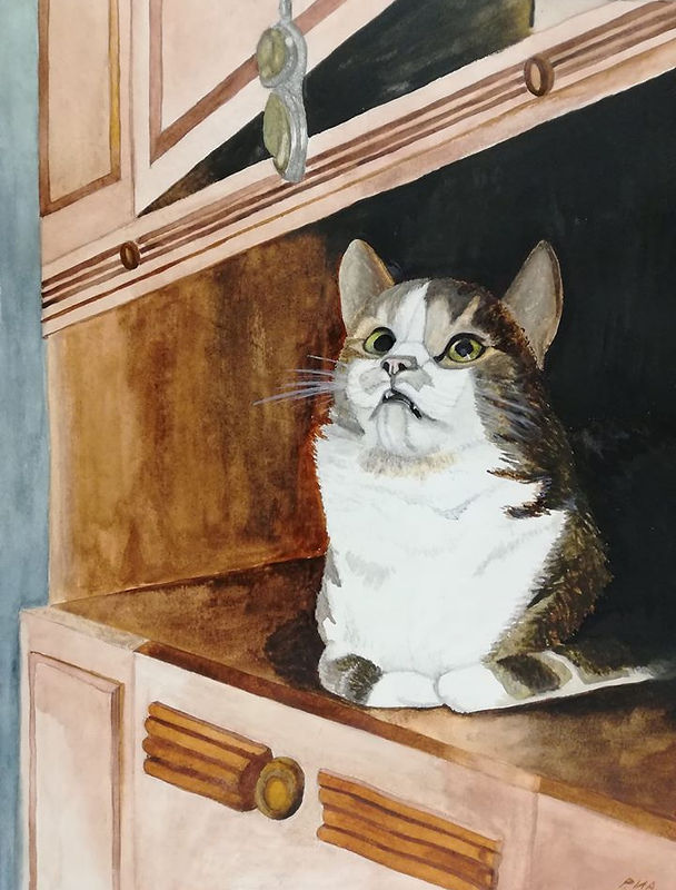 Кот на полке (Блестящая штучка).jpg