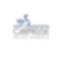 Logo_Carmeuse_(29x19)