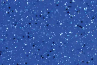 Caribbean-Blue.webp
